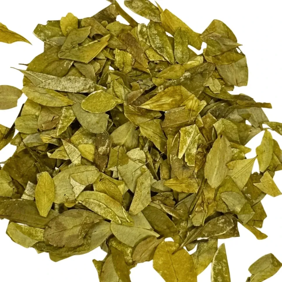 Hayo-(Ayu)-de-la-Sierra-Nevada–Nabusimake-herbal-heritage-hojas-de-coca-secas.webp