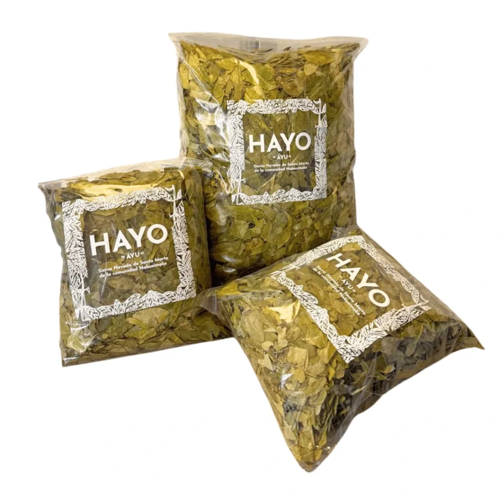 Hayo-Ayu-de-la-Sierra-Nevada–Nabusimake-herbal-heritage-hoja-de-coca.webp