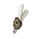 Diseño sin título (12).webp