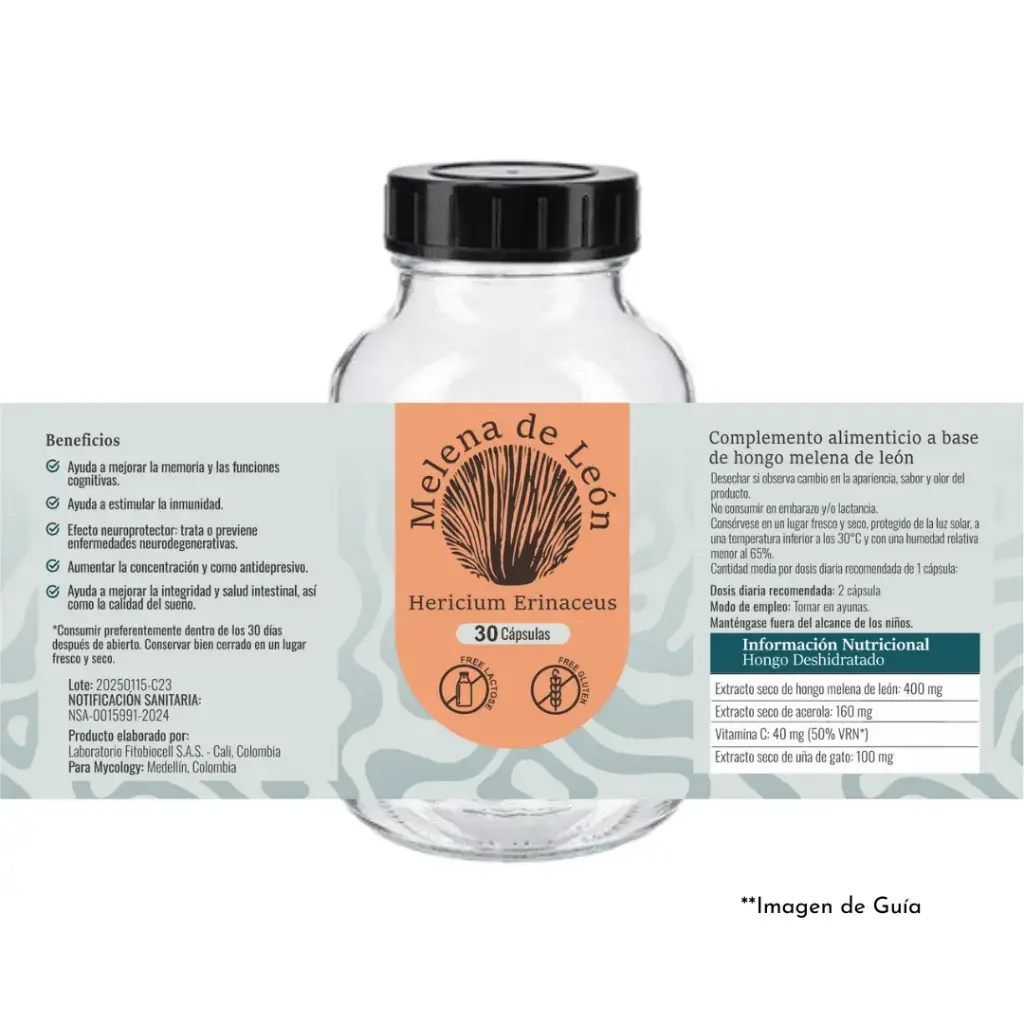 Melena de León – 30 cápsulas