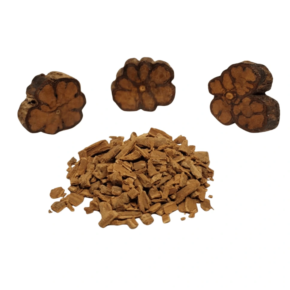 Caapi (Banisteriopsis caapi) (20g)