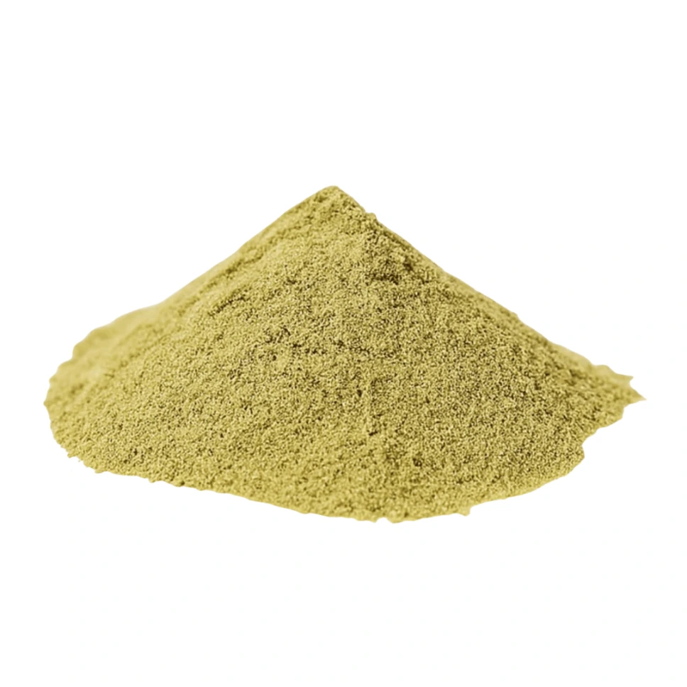 Wachuma – San Pedro (Echinopsis pachanoi)