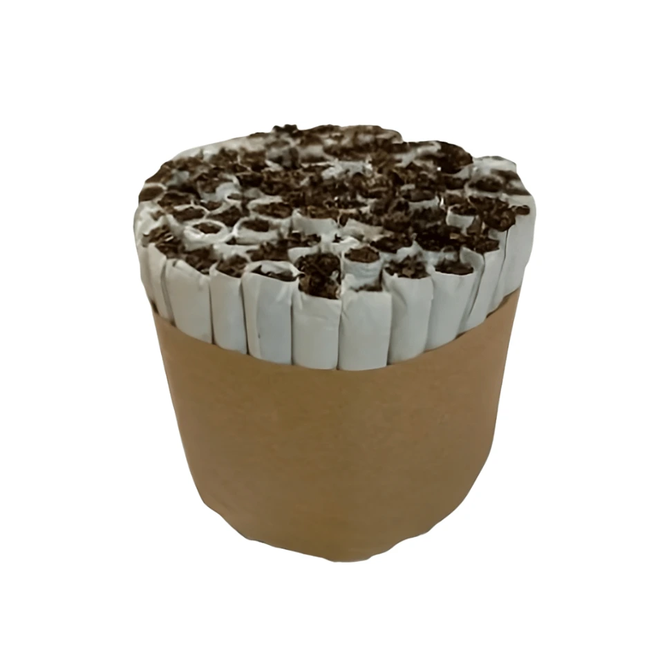 Mapacho Peruano – Tabaco Amazónico Tradicional