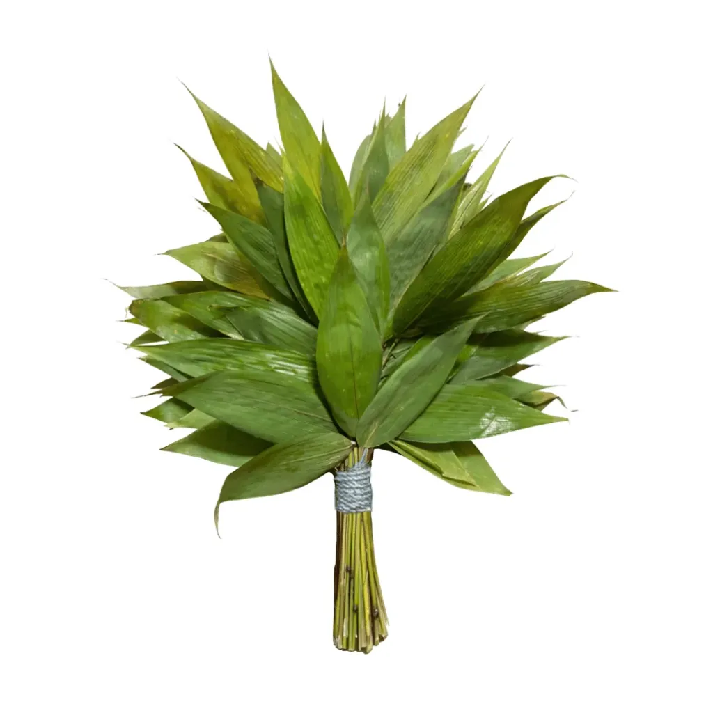 Wayra (Chacapa o Shakapa)