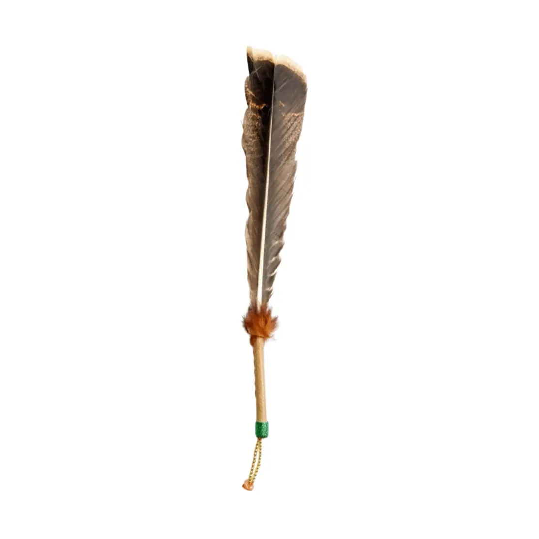 Pluma de Pavo - Pisco